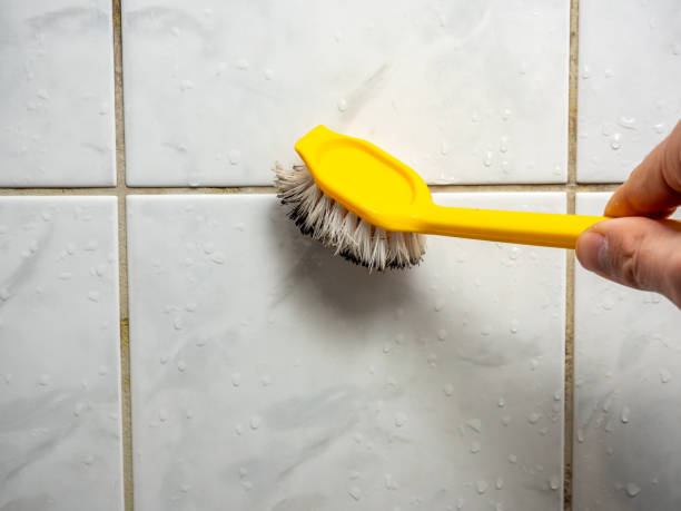 Best Toxic Mold Removal  in South Wilton, CT